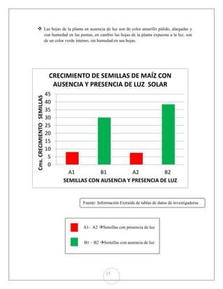  Las hojas de la planta en ausencia de luz son de color amarillo pálido, alargadas y
                            con humedad en las puntas, en cambio las hojas de la planta expuesta a la luz, son
                            de un color verde intenso, sin humedad en sus hojas.




                              CRECIMIENTO DE SEMILLAS DE MAÍZ CON
                               AUSENCIA Y PRESENCIA DE LUZ SOLAR
                            45
Cms. CRECIMIENTO SEMILLAS




                            40
                            35
                            30
                            25
                            20
                            15
                            10
                             5
                             0
                                        A1         B1         A2         B2
                                      SEMILLAS CON AUSENCIA Y PRESENCIA DE LUZ


                                                 Fuente: Información Extraída de tablas de datos de investigadoras




                                                 A1- A2 Semillas con presencia de luz


                                                  B1 – B2 Semillas con ausencia de luz




                                                              13
 
