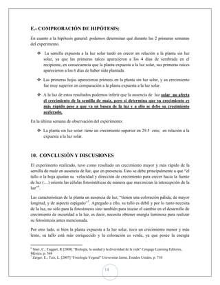 E.- COMPROBACIÓN DE HIPÓTESIS:
En cuanto a la hipótesis general: podemos determinar qué durante las 2 primeras semanas
del experimento.

     La semilla expuesta a la luz solar tardó en crecer en relación a la planta sin luz
      solar, ya que las primeras raíces aparecieron a los 4 días de sembrada en el
      recipiente, en consecuencia que la planta expuesta a la luz solar, sus primeras raíces
      aparecieron a los 6 días de haber sido plantada.

     Las primeras hojas aparecieron primero en la planta sin luz solar, y su crecimiento
      fue muy superior en comparación a la planta expuesta a la luz solar.

     A la luz de estos resultados podemos inferir que la ausencia de luz solar no afecta
      el crecimiento de la semilla de maíz, pero si determina que su crecimiento es
      más rápido pese a que va en busca de la luz y a ello se debe su crecimiento
      acelerado.

En la última semana de observación del experimento:

     La planta sin luz solar: tiene un crecimiento superior en 29.5 cms; en relación a la
      expuesta a la luz solar.



10. CONCLUSIÓN Y DISCUSIONES
El experimento realizado, tuvo como resultado un crecimiento mayor y más rápido de la
semilla de maíz en ausencia de luz, que en presencia. Esto se debe principalmente a que “el
tallo o la hoja ajustan su velocidad y dirección de crecimiento para crecer hacia la fuente
de luz (…) orienta las células fotosintéticas de manera que maximizan la intercepción de la
luz”6.

Las características de la planta en ausencia de luz, “tienen una coloración pálida, de mayor
longitud, y de aspecto espigado”7. Agregado a ello, su tallo es débil y por lo tanto necesita
de la luz, no sólo para la fotosíntesis sino también para iniciar el cambio en el desarrollo de
crecimiento de oscuridad a la luz, es decir, necesita obtener energía luminosa para realizar
su fotosíntesis antes mencionada.

Por otro lado, si bien la planta expuesta a la luz solar, tuvo un crecimiento menor y más
lento, su tallo está más enriquecido y la coloración es verde, ya que posee la energía

6
  Starr, C.; Taggart, R [2008] “Biología, la unidad y la diversidad de la vida” Cengage Learning Editores,
México, p. 548
7
  Zeiger, E.; Taiz, L. [2007] “Fisiología Vegetal” Universitat Jaime, Estados Unidos, p. 710


                                                   14
 