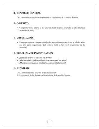 2.- HIPOTESIS GENERAL
    La ausencia de luz afecta directamente el crecimiento de la semilla de maíz.

3.- OBJETIVO:
   Comprobar cómo influye la luz solar en el crecimiento, desarrollo y subsistencia de
    la semilla de maíz.


4.- OBSERVACIÓN:
   En nuestro entorno estamos rodeados de vegetación expuesta al aire y a la luz solar,
    por ello cabe preguntarse ¿Qué impacto tiene la luz en el crecimiento de las
    semillas?


5.- PROBLEMA DE INVESTIGACIÓN:
   ¿Para qué le sirve la luz solar a la planta?
   ¿Qué sucedería con la semilla sin estar expuesta a luz solar?
   ¿Qué procesos realiza la planta al contacto con la luz solar?

6.- HIPÓTESIS:
    La semilla de maíz no crece en ausencia de luz.
    La presencia de luz favorece el crecimiento de la semilla de maíz.




                                         4
 