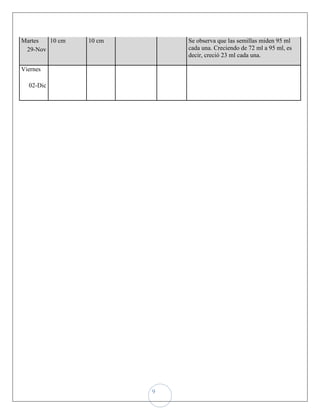 Martes  10 cm   10 cm       Se observa que las semillas miden 95 ml
 29-Nov                     cada una. Creciendo de 72 ml a 95 ml, es
                            decir, creció 23 ml cada una.

Viernes

  02-Dic




                        9
 