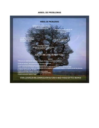 ARBOL DE PROBLEMAS



                                         ARBOL DE PROBLEMAS
                            Incrementos en los últimos 6 años
                            del3.42% en accidentes de transito
                                 donde mueren personas
                                                                     Personas en edades entre 25 y 34
                                                                         años son causantes de
                                                                               accidentes



    Los mayores accidentes se
    presentan los fines de sem                                    Entre los 15 y 14 años (442
    entre jueves y sábado                                           accidentes mensuales


                                    Ocasionan accidentes
                            choques de vehículos 69%, volcamientos
                                12%,atropellos 11%, objetos 4%




                                 FALTA DE CONCIENCIA VIAL
                                                     CAUSAS
Menores en edad escolar expuestos a drogas, alcohol y necesidades materiales.
Falta de recursos para preparación de menores conductores.
Falta de personal preparado para emitir conciencia vial.
Poco control de las entidades correspondientes sobre la obtención de licencias en menores de edad.
Falta de infusión de un sistema de capacitación en los colegios y universidades dirigidos a los grados donde hay menores
en edad de educación (16 – 22 años).
Falta de publicidad dirigida a menores de edad y padres.
Utilización de la licencia de conducción en actividades ilícitas.
Falta de educación desde el hogar.

    UNA LICENCIA DE CONDUCCIÓN ES UNA O MÁS VIDAS EN TUS MANOS
 