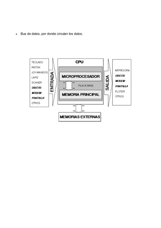 Bus de datos, por donde circulan los datos.
 