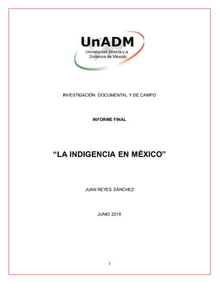 1
INVESTIGACIÓN DOCUMENTAL Y DE CAMPO
INFORME FINAL
“LA INDIGENCIA EN MÉXICO”
JUAN REYES SÁNCHEZ
JUNIO 2018
 
