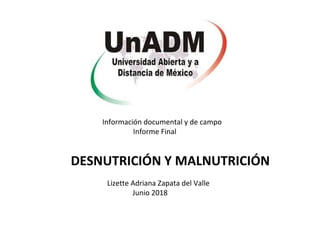 DESNUTRICIÓN Y MALNUTRICIÓN
Lizette Adriana Zapata del Valle
Junio 2018
Información documental y de campo
Informe Final
 