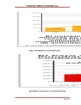 Consorcio Minero Horizonte S.A.
PERU: INVERSIONES EN EXPLORACION
RECURSOS NATURALES Y ACTIVIDAD MINERA
Página 16
 