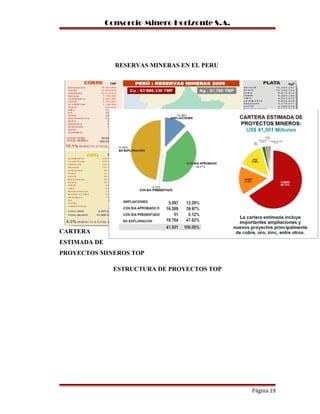 Consorcio Minero Horizonte S.A.
RESERVAS MINERAS EN EL PERU
CARTERA
ESTIMADA DE
PROYECTOS MINEROS TOP
ESTRUCTURA DE PROYECTOS TOP
Página 19
 