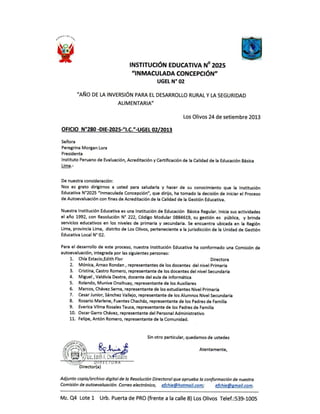 Informe final  ipeba-ugel 02