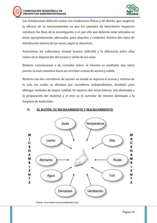 COMPOSICIÓN BIOQUÍMICA DE
PRODUCTOS AGROINDUSTRIALES
Página 30
Las instalaciones deberán contar con condiciones físicas y de diseño, que aseguren
la eficacia de su funcionamiento ya que los animales de laboratorio requieren
satisfacer los fines de la investigación, y es por ello que deberán estar ubicados en
áreas apropiadamente adecuadas, para alojarlos y cuidarlos. Existen dos tipos de
distribución interna de las áreas, según la American
Association for Laboratory Animal Science (AALAS) y la diferencia entre ellas
radica en la disposición del acceso y salida de las salas.
Bioterio convencional o de corredor único: el tránsito es mediante una única
puerta, la cual comunica hacia un corredor común de acceso y salida.
Bioterio con dos corredores de acceso: en donde se separan el acceso y retorno de
la sala, los cuales se efectúan por corredores independientes, diseñado para
albergar animales de mayor calidad. Se separan dos áreas básicas, una destinada a
la preparación del material y el otro es el corredor de retorno destinada a la
limpieza de materiales.
II. EL RATÓN: SU MICROAMBIENTE Y MACROAMBIENTE
Figura Nº 5
 