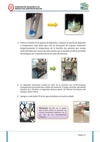 COMPOSICIÓN BIOQUÍMICA DE
PRODUCTOS AGROINDUSTRIALES
Página 47
3. Colocar el balón en el aparato de digestión y calentar la mezcla de digestión
a temperatura baja hasta que cese la formación de espuma. Aumentar
progresivamente la temperatura de la hornilla (no permita que escape
acido del balón por exceso de calor puesto que se pueden producir perdidas
de nitrógeno por volatilización de las sales de amonio).
4. La digestión terminará cuando el color de la muestra sea verde-turquesa
transparente (son partículas visibles de muestra). Y luego continúe calentando
durante 1h y 30 mint. La digestión demora aprox. 2h. Retirar los balones del
equipo y dejar enfriar.
5. Agregar a cada balón 50 ml de agua destilada con mucho cuidado
 