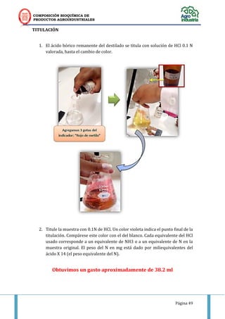 COMPOSICIÓN BIOQUÍMICA DE
PRODUCTOS AGROINDUSTRIALES
Página 49
TITULACIÓN
1. El ácido bórico remanente del destilado se titula con solución de HCl 0.1 N
valorada, hasta el cambio de color.
2. Titule la muestra con 0.1N de HCl. Un color violeta indica el punto final de la
titulación. Compárese este color con el del blanco. Cada equivalente del HCl
usado corresponde a un equivalente de NH3 o a un equivalente de N en la
muestra original. El peso del N en mg está dado por miliequivalentes del
ácido X 14 (el peso equivalente del N).
Obtuvimos un gasto aproximadamente de 38.2 ml
 