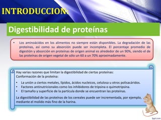 Digestibilidad de proteínas
• Los aminoácidos en los alimentos no siempre están disponibles. La degradación de las
proteínas, así como su absorción puede ser incompleta. El porcentaje promedio de
digestión y absorción en proteínas de origen animal es alrededor de un 90%, siendo el de
las proteínas de origen vegetal de sólo un 60 a un 70% aproximadamente.
INTRODUCCION:
Hay varias razones que limitan la digestibilidad de ciertas proteínas:
Conformación de la proteína:
• La unión a ciertos metales, lípidos, ácidos nucleicos, celulosa u otros polisacáridos.
• Factores antinutricionales como los inhibidores de tripsina o quimotripsina.
• El tamaño y superficie de la partícula donde se encuentran las proteínas.
La digestibilidad de las proteínas de los cereales puede ser incrementada, por ejemplo,
mediante el molido más fino de la harina.
 