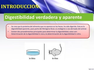 Digestibilidad verdadera y aparente
• Se cree que la proteína del alimento que no aparece en las heces, ha sido digerida. Esto es la
digestibilidad aparente, pues parte del Nitrógeno fecal, es endógeno o sea derivado del animal.
• Existen dos procedimientos principales para determinar la digestibilidad, estos son:
Determinación de la digestibilidad in vivo y la determinación de la digestibilidad in vitro.
INTRODUCCION:
 