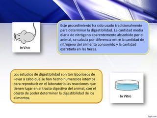 Este procedimiento ha sido usado tradicionalmente
para determinar la digestibilidad. La cantidad media
diaria de nitrógeno aparentemente absorbido por el
animal, se calcula por diferencia entre la cantidad de
nitrógeno del alimento consumido y la cantidad
excretada en las heces.
Los estudios de digestibilidad son tan laboriosos de
llevar a cabo que se han hecho numerosos intentos
para reproducir en el laboratorio las reacciones que
tienen lugar en el tracto digestivo del animal, con el
objeto de poder determinar la digestibilidad de los
alimentos.
 