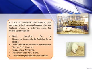 El consumo voluntario del alimento por
parte del animal está regulado por diversos
factores internos y externos, entre los
cuales se mencionan:
• Nivel Energético De La
Ración. lo Contenido De Proteína En La
Ración.
• Palatabilidad Del Alimento. Presencia De
Toxinas En El Alimento.
• Temperatura Ambiental.
• Racionamiento De La Dieta.
• Grado De Digestibilidad Del Alimento.
 