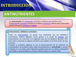 ANTINUTRIENTES
• Los antinutrientes son compuestos naturales o sintéticos que interfieren con
la absorción de nutrientes.Estudios en el ámbito nutricional, hallaron estos compuestos
antinutricionales en alimentos y bebidas
INTRODUCCION:
Antinutrientes: inhibidores enzimáticos
Entre los antinutrientes, un grupo muy importante son los inhibidores
enzimáticos. Nuestra digestión ocurre gracias a la acción de enzimas, que
descomponen los nutrientes en la digestión para que los podamos absorber. Pero
hay ciertas sustancias en algunos alimentos que impiden la correcta acción de esas
enzimas.
Impiden la proteólisis digestiva (o sea, la descomposición de las proteínas en
aminoácidos). Las proteínas deben llegar descompuestas en aminoácidos a nuestro
intestino. Si no lo están, estos fragmentos pueden pasar por un intestino demasiado
permeable y causar problemas a nuestro sistema inmune o a nuestro riñón.
 