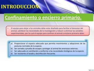 Confinamiento o encierro primario.
• El equipo para alojar a los animales debe estar diseñado para facilitar el bienestar del
animal, satisfacer las necesidades de la investigación y reducir o eliminar las variables
experimentales, por lo cual el equipo para confinar al animal o encierro primario debe:
INTRODUCCION:
a) Proporcionar el espacio adecuado que permita movimientos y adopciones de las
posturas normales de la especie.
b) Ser cerrado a prueba de escape y proteger al animal de amenazas externas.
c) Ser adecuado en ventilación y conforme a las necesidades biológicas de la especie.
d) Ser resistente al lavado y desinfección frecuente.
 