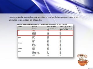 Las recomendaciones de espacio mínimo que se deben proporcionar a los
animales se describen en el cuadro.
 