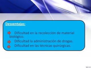 Desventajas:
Dificultad en la recolección de material
biológico.
Dificultad la administración de drogas.
Dificultad en las técnicas quirúrgicas.
 