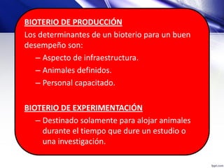 BIOTERIO DE PRODUCCIÓN
Los determinantes de un bioterio para un buen
desempeño son:
– Aspecto de infraestructura.
– Animales definidos.
– Personal capacitado.
BIOTERIO DE EXPERIMENTACIÓN
– Destinado solamente para alojar animales
durante el tiempo que dure un estudio o
una investigación.
 