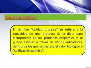 El término “calidad proteica” se refiere a la
capacidad de una proteína de la dieta para
incorporarse en las proteínas corporales y se
puede estimar a través de varios indicadores,
dentro de los que se destaca el valor biológico o
“calificación química”.
 