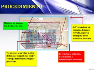Se Proporcionó un
espacio adecuado,
cerrado, seguro y
protegido de las
amenazas externas.
Es resistente al lavado,
desinfección y
esterilización frecuente
Tiene pisos y paredes fáciles
de limpiar (superficies lisa) y
con tapa removible de rejas o
perforada.
Mantuvo en buenas
condiciones de uso.
PROCEDIMIENTO:
 