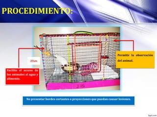 PROCEDIMIENTO:
27cm
Permitir la observación
del animal.
Facilito el acceso de
los animales al agua y
alimento.
No presentar bordes cortantes o proyecciones que puedan causar lesiones.
 