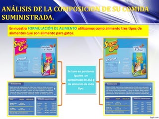 En nuestra FORMULACIÓN DE ALIMENTO utilizamos como alimento tres tipos de
alimentos que son alimento para gatos.
Se tuvo en porciones
iguales un
aproximado de 252 g
de alimento de cada
tipo.
 