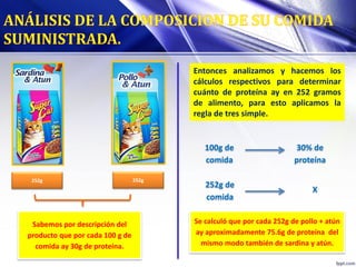 252g 252g
Sabemos por descripción del
producto que por cada 100 g de
comida ay 30g de proteína.
Entonces analizamos y hacemos los
cálculos respectivos para determinar
cuánto de proteína ay en 252 gramos
de alimento, para esto aplicamos la
regla de tres simple.
100g de
comida
30% de
proteína
252g de
comida
X
Se calculó que por cada 252g de pollo + atún
ay aproximadamente 75.6g de proteína del
mismo modo también de sardina y atún.
 