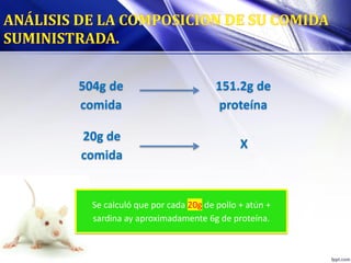 Se calculó que por cada 20g de pollo + atún +
sardina ay aproximadamente 6g de proteína.
504g de
comida
151.2g de
proteína
20g de
comida
X
 