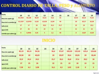 Fecha
10 11 12 13 14 15 16 17 18 19
Peso de copito (g)
44,1954 46,128 48,39 52,61 53,6 55 63,95 68,24 72,35
Peso de la comida (g)
12,1237 12,0705 12,02 12,019 12,04 40 20 20,17 20,38
talla (cm)
17 17 18 20,3 21,5 21,7 22 24 22,5
agua (ml) 27 26 25 22 21 19 21 21 22
comida que sobro (g)
0 3,4946 4,56 5 2,1 40 8 14,87 13,69
Fecha
20 21 22 23 24 25 26 27 28 29
Peso de copito (g) 82,19 89,11 94,56 96,6 97,67 102,03 122,43 123,4 124,66
Peso de la comida (g) 20,58 20 40,03 20 20,07 20,4 20,01 20 20,44
talla (cm) 22,9 24,3 24,5 25,7 26,5 26,8 27,4 28,2 30
agua (ml) 27 25 26 22 21 19 18 19 21
comida que sobro (g) 7,58 6,2 3,98 16,1 4,5 3,02 2,18 0 0
 
