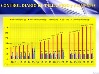 44,1954
46,128
48,39
52,61
53,6
55
63,95
68,24
72,35
82,19
89,11
94,56 96,6 97,67
102,03
122,43 123,4 124,66
17 17 18 20,3 21,5 21,7 22 24 22,5 22,9 24,3 24,5 25,7 26,5 26,8 27,4 28,2 30
0
3,4946 4,56 5
2,1
40
8
14,87 13,69
7,58 6,2 3,98
16,1
4,5 3,02 2,18 0 0
-21
-1
19
39
59
79
99
119
10 11 12 13 14 15 16 17 18 19 20 21 22 23 24 25 26 27 28 29
Peso de copito (g) Peso de la comida (g) talla (cm) agua (ml) comida que sobro (g)
 