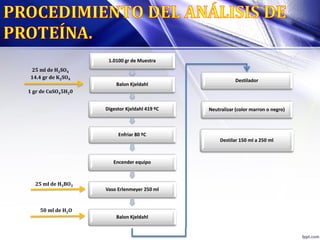 1.0100 gr de Muestra
Balon Kjeldahl
Digestor Kjeldahl 419 ºC
Enfriar 80 ºC
Encender equipo
Vaso Erlenmeyer 250 ml
Balon Kjeldahl
Destilador
Neutralizar (color marron o negro)
Destilar 150 ml a 250 ml
25 ml de H2SO4
14.4 gr de K2SO4
1 gr de CuSO45H20
25 ml de H3BO3
50 ml de H2O
 