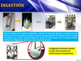 Colocar el balón en el aparato de digestión y calentar la mezcla de digestión a temperatura baja
hasta que cese la formación de espuma. Aumentar progresivamente la temperatura de la hornilla
(no permita que escape acido del balón por exceso de calor puesto que se pueden producir
perdidas de nitrógeno por volatilización de las sales de amonio).
La digestión terminará cuando
el color de la muestra sea
verde-turquesa transparente
 