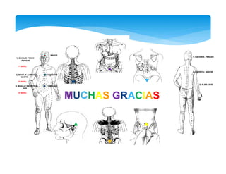 UCHAS GRACIAS
1) MASAJE FISICO
PENSAR
2) MASAJE AURICO
SENTIR
3) MASAJE ESPIRITUAL
SER
MENTE
CORAZON
OMBLIGO
1) MATERIA: PENSAR
2) ESPIRITU: SENTIR
3) ALMA: SER
1° NIVEL
2° NIVEL
3° NIVEL
 