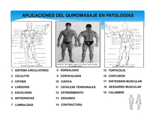 APLICACIONES DEL QUIROMASAJE EN PATOLOGÍAS
2 CELULITIS
1 SISTEMA CIRCULATORIO
3 CIFOSIS
4 LORDOSIS
5 ESCOLIOSIS
6 ARTROPATIAS
7 LUMBALGIAS
8 DORSALGIAS
9 CERVICALGIAS
10 CIATICA
11 CEFALEAS TENSIONALES
12 ESTREÑIMIENTO
13 ESGUINCE
14 CONTRACTURA
15 TORTICOLIS
16 CONTUSION
17 DISTENSION MUSCULAR
18 DESGARRO MUSCULAR
19 CALAMBRE
 