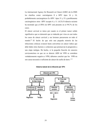 La internacional Agency for Research on Cáncer (IARC) de la OMS
los clasifica como: carcinógenos a HPV tipos 16 y 18,‖
probablemente carcinogénicos a HPV tipos 31 y 33 y posiblemente‖
carcinogénicos otros HPV excepto 6 y 11. (4,33) Evidencia reciente
ha mostrado que el DNA de HPV está presente en el 99,7% de los
casos.
El cáncer cervical es único por cuanto es el primer tumor solido
significativo que se demostró que es inducido por virus en casi todos
los casos de cáncer cervical y sus lesiones precursoras en todo el
mundo.(4)
El hecho de que solo una pequeña minoría de las
infecciones crónicas avancen hasta convertirse en cáncer indica que
debe haber otros factores o cofactores que promuevan la progresión a
una etapa maligna. De hecho, si la pequeña fracción de canceres
cervicouterinos en que no se detecto ADN de VPH se considera
verdaderamente negativa a VPH, debemos concluir que los VPH no
son causa necesaria o suficiente de cáncer de cuello de útero. (4,7)
19
 