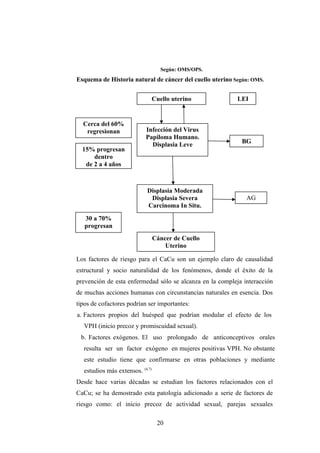 Según: OMS/OPS.
Esquema de Historia natural de cáncer del cuello uterino Según: OMS.
Los factores de riesgo para el CaCu son un ejemplo claro de causalidad
estructural y socio naturalidad de los fenómenos, donde el éxito de la
prevención de esta enfermedad sólo se alcanza en la compleja interacción
de muchas acciones humanas con circunstancias naturales en esencia. Dos
tipos de cofactores podrían ser importantes:
a. Factores propios del huésped que podrían modular el efecto de los
VPH (inicio precoz y promiscuidad sexual).
b. Factores exógenos. El uso prolongado de anticonceptivos orales
resulta ser un factor exógeno en mujeres positivas VPH. No obstante
este estudio tiene que confirmarse en otras poblaciones y mediante
estudios más extensos. (4,7)
Desde hace varias décadas se estudian los factores relacionados con el
CaCu; se ha demostrado esta patología adicionado a serie de factores de
riesgo como: el inicio precoz de actividad sexual, parejas sexuales
20
Cuello uterino
normal
Infección del Virus
Papiloma Humano.
Displasia Leve
Displasia Moderada
Displasia Severa
Carcinoma In Situ.
LEI
Cerca del 60%
regresionan
15% progresan
dentro
de 2 a 4 años
BG
30 a 70%
progresan
Dentro de 10
AG
Cáncer de Cuello
Uterino
 