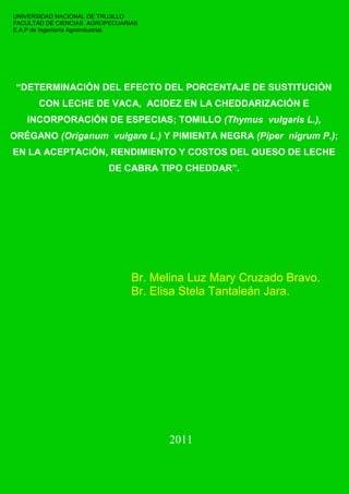 UNIVERSIDAD NACIONAL DE TRUJILLO
FACULTAD DE CIENCIAS AGROPECUARIAS
E.A.P de Ingeniería Agroindustrial.




 “DETERMINACIÓN DEL EFECTO DEL PORCENTAJE DE SUSTITUCIÓN
       CON LECHE DE VACA, ACIDEZ EN LA CHEDDARIZACIÓN E
   INCORPORACIÓN DE ESPECIAS; TOMILLO (Thymus vulgaris L.),
ORÉGANO (Origanum vulgare L.) Y PIMIENTA NEGRA (Piper nigrum P.);
EN LA ACEPTACIÓN, RENDIMIENTO Y COSTOS DEL QUESO DE LECHE
                          DE CABRA TIPO CHEDDAR”.




                                 Br. Melina Luz Mary Cruzado Bravo.
                                 Br. Elisa Stela Tantaleán Jara.




                                       2011
 