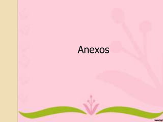 Anexos

 