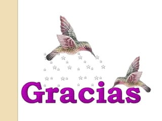 Informe final practica docente