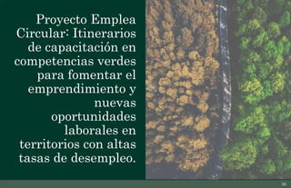 Proyecto Emplea
Circular: Itinerarios
de capacitación en
competencias verdes
para fomentar el
emprendimiento y
nuevas
oportunidades
laborales en
territorios con altas
tasas de desempleo.
30
 