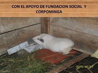 CON EL APOYO DE FUNDACION SOCIAL  Y CORPOMINGA 