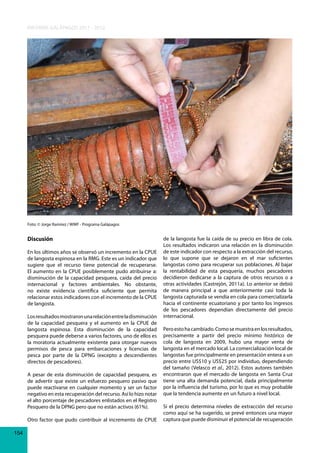 INFORME GALÁPAGOS 2011 - 2012

Foto: © Jorge Ramírez / WWF - Programa Galápagos

Discusión
En los últimos años se observó un incremento en la CPUE
de langosta espinosa en la RMG. Este es un indicador que
sugiere que el recurso tiene potencial de recuperarse.
El aumento en la CPUE posiblemente pudo atribuirse a:
disminución de la capacidad pesquera, caída del precio
internacional y factores ambientales. No obstante,
no existe evidencia científica suficiente que permita
relacionar estos indicadores con el incremento de la CPUE
de langosta.
Los resultados mostraron una relación entre la disminución
de la capacidad pesquera y el aumento en la CPUE de
langosta espinosa. Esta disminución de la capacidad
pesquera puede deberse a varios factores, uno de ellos es
la moratoria actualmente existente para otorgar nuevos
permisos de pesca para embarcaciones y licencias de
pesca por parte de la DPNG (excepto a descendientes
directos de pescadores).
A pesar de esta disminución de capacidad pesquera, es
de advertir que existe un esfuerzo pesquero pasivo que
puede reactivarse en cualquier momento y ser un factor
negativo en esta recuperación del recurso. Así lo hizo notar
el alto porcentaje de pescadores enlistados en el Registro
Pesquero de la DPNG pero que no están activos (61%).
Otro factor que pudo contribuir al incremento de CPUE
154

de la langosta fue la caída de su precio en libra de cola.
Los resultados indicaron una relación en la disminución
de este indicador con respecto a la extracción del recurso,
lo que supone que se dejaron en el mar suficientes
langostas como para recuperar sus poblaciones. Al bajar
la rentabilidad de esta pesquería, muchos pescadores
decidieron dedicarse a la captura de otros recursos o a
otras actividades (Castrejón, 2011a). Lo anterior se debió
de manera principal a que anteriormente casi toda la
langosta capturada se vendía en cola para comercializarla
hacia el continente ecuatoriano y por tanto los ingresos
de los pescadores dependían directamente del precio
internacional.
Pero esto ha cambiado. Como se muestra en los resultados,
precisamente a partir del precio mínimo histórico de
cola de langosta en 2009, hubo una mayor venta de
langosta en el mercado local. La comercialización local de
langostas fue principalmente en presentación entera a un
precio entre US$10 y US$25 por individuo, dependiendo
del tamaño (Velasco et al., 2012). Estos autores también
encontraron que el mercado de langosta en Santa Cruz
tiene una alta demanda potencial, dada principalmente
por la influencia del turismo, por lo que es muy probable
que la tendencia aumente en un futuro a nivel local.
Si el precio determina niveles de extracción del recurso
como aquí se ha sugerido, se prevé entonces una mayor
captura que puede disminuir el potencial de recuperación

 