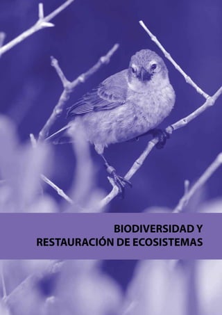 BIODIVERSIDAD Y
RESTAURACIÓN DE ECOSISTEMAS

 