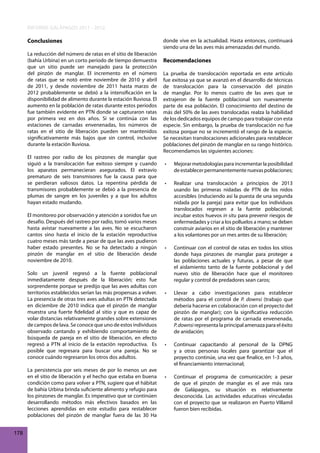 INFORME GALÁPAGOS 2011 - 2012
Conclusiones
La reducción del número de ratas en el sitio de liberación
(bahía Urbina) en un corto período de tiempo demuestra
que un sitio puede ser manejado para la protección
del pinzón de manglar. El incremento en el número
de ratas que se notó entre noviembre de 2010 y abril
de 2011, y desde noviembre de 2011 hasta marzo de
2012 probablemente se debió a la intensificación en la
disponibilidad de alimento durante la estación lluviosa. El
aumento en la población de ratas durante estos períodos
fue también evidente en PTN donde se capturaron ratas
por primera vez en dos años. Si se continúa con las
estaciones de carnadas envenenadas, los números de
ratas en el sitio de liberación pueden ser mantenidos
significativamente más bajos que sin control, inclusive
durante la estación lluviosa.
El rastreo por radio de los pinzones de manglar que
siguió a la translocación fue exitoso siempre y cuando
los aparatos permanecieran asegurados. El extravío
prematuro de seis transmisores fue la causa para que
se perdieran valiosos datos. La repentina pérdida de
transmisores probablemente se debió a la presencia de
plumas de sangre en los juveniles y a que los adultos
hayan estado mudando.
El monitoreo por observación y atención a sonidos fue un
desafío. Después del rastreo por radio, tomó varios meses
hasta avistar nuevamente a las aves. No se escucharon
cantos sino hasta el inicio de la estación reproductiva
cuatro meses más tarde a pesar de que las aves pudieron
haber estado presentes. No se ha detectado a ningún
pinzón de manglar en el sitio de liberación desde
noviembre de 2010.
Solo un juvenil regresó a la fuente poblacional
inmediatamente después de la liberación; esto fue
sorprendente porque se predijo que las aves adultas con
territorios establecidos serían las más propensas a volver.
La presencia de otras tres aves adultas en PTN detectada
en diciembre de 2010 indica que el pinzón de manglar
muestra una fuerte fidelidad al sitio y que es capaz de
volar distancias relativamente grandes sobre extensiones
de campos de lava. Se conoce que uno de estos individuos
observado cantando y exhibiendo comportamiento de
búsqueda de pareja en el sitio de liberación, en efecto
regresó a PTN al inicio de la estación reproductiva. Es
posible que regresara para buscar una pareja. No se
conoce cuándo regresaron los otros dos adultos.
La persistencia por seis meses de por lo menos un ave
en el sitio de liberación y el hecho que estaba en buena
condición como para volver a PTN, sugiere que el hábitat
de bahía Urbina brinda suficiente alimento y refugio para
los pinzones de manglar. Es imperativo que se continúen
desarrollando métodos más efectivos basados en las
lecciones aprendidas en este estudio para restablecer
poblaciones del pinzón de manglar fuera de las 30 Ha
178

donde vive en la actualidad. Hasta entonces, continuará
siendo una de las aves más amenazadas del mundo.

Recomendaciones
La prueba de translocación reportada en este artículo
fue exitosa ya que se avanzó en el desarrollo de técnicas
de translocación para la conservación del pinzón
de manglar. Por lo menos cuatro de las aves que se
extrajeron de la fuente poblacional son nuevamente
parte de esa población. El conocimiento del destino de
más del 50% de las aves translocadas realza la habilidad
de los dedicados equipos de campo para trabajar con esta
especie. Sin embargo, la prueba de translocación no fue
exitosa porque no se incrementó el rango de la especie.
Se necesitan translocaciones adicionales para restablecer
poblaciones del pinzón de manglar en su rango histórico.
Recomendamos las siguientes acciones:
•	

Mejorar	metodologías	para	incrementar	la	posibilidad	
de establecer permanentemente nuevas poblaciones;

•	

Realizar	 una	 translocación	 a	 principios	 de	 2013	
usando las primeras nidadas de PTN de los nidos
accesibles (induciendo así la puesta de una segunda
nidada por la pareja) para evitar que los individuos
translocados regresen a la fuente poblacional;
incubar estos huevos in situ para prevenir riesgos de
enfermedades y criar a los polluelos a mano; se deben
construir aviarios en el sitio de liberación y mantener
a los volantones por un mes antes de su liberación;

•	

Continuar	 con	 el	 control	 de	 ratas	 en	 todos	 los	 sitios	
donde haya pinzones de manglar para proteger a
las poblaciones actuales y futuras, a pesar de que
el aislamiento tanto de la fuente poblacional y del
nuevo sitio de liberación hace que el monitoreo
regular y control de predadores sean caros;

•	

Llevar	 a	 cabo	 investigaciones	 para	 establecer	
métodos para el control de P. downsi (trabajo que
debería hacerse en colaboración con el proyecto del
pinzón de manglar); con la significativa reducción
de ratas por el programa de carnada envenenada,
P. downsi representa la principal amenaza para el éxito
de anidación;

•	

Continuar	 capacitando	 al	 personal	 de	 la	 DPNG	
y a otras personas locales para garantizar que el
proyecto continúe, una vez que finalice, en 1-3 aňos,
el financiamiento internacional;

•	

Continuar	 el	 programa	 de	 comunicación;	 a	 pesar	
de que el pinzón de manglar es el ave más rara
de Galápagos, su situación es relativamente
desconocida. Las actividades educativas vinculadas
con el proyecto que se realizaron en Puerto Villamil
fueron bien recibidas.

 