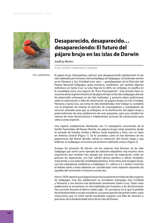 INFORME GALÁPAGOS 2011 - 2012

Desaparecido, desaparecido…
desapareciendo: El futuro del
pájaro brujo en las islas de Darwin
Godfrey Merlen
Asesor científico independiente, Galápagos
Foto: Judy Molinaro

El pájaro brujo (Pyrocephalus rubinus) está desapareciendo rápidamente en las
islas habitadas por humanos del archipiélago de Galápagos. Considerado extinto
ya en Floreana y San Cristóbal (com. pers. – guardaparques de la Dirección del
Parque Nacional Galápagos, guías turísticos, residentes), aún quedan algunos
individuos en Santa Cruz. La Lista Roja de la UICN, sin embargo, lo clasifica en
la actualidad como una especie de “Poca Preocupación”. Este artículo hace un
recuento de los registros históricos de pájaros brujos en las islas Galápagos, discute
las potenciales amenazas en las islas habitadas, y presenta datos preliminares
sobre la observación o falta de observación de pájaros brujos en San Cristóbal,
Floreana y Santa Cruz, así como en islas deshabitadas. Este trabajo se completó
con el propósito de orientar la atención de investigadores y manejadores de
recursos naturales para que se enfoquen en la disminución del pájaro brujo y
potencialmente de otras poblaciones de aves pequeñas, para que estudien las
razones de estas disminuciones e implementen acciones de conservación para
salvar a estas especies.
Una especie ampliamente distribuida con 12 subespecies reconocidas de la
familia Tyrannidae del Nuevo Mundo, los pájaros brujos están presentes desde
el suroeste de Estados Unidos y México hasta Argentina y Perú, con un hiato
en América Central (Figura 1). Se lo considera como el más llamativo de los
papamoscas del Nuevo Mundo, siendo la coloración del macho negra y roja
brillante; en Galápagos es la única ave terrestre realmente vistosa (Figura 2).
Aunque los pinzones de Darwin son las especies más famosas en las islas
Galápagos por servir como ejemplo de radiación adaptativa, hay muchos otros
organismos que también han pasado por procesos de especiación, están en
proceso de especiación, y/o han sufrido deriva genética y efecto fundador,
induciendo a una reducida variabilidad genética. Entre éstos está el pájaro brujo,
con dos subespecies endémicas a Galápagos: P. r. rubinus y P. r. dubius. Continúa
el debate sobre si éstas deberían ser consideradas como especies separadas de
aquellas del continente o inclusive una de otra.
Harris (1974) reportó que el pájaro brujo estuvo presente en todas las islas mayores
de Galápagos. Hoy dos poblaciones se consideran extirpadas (San Cristóbal
y Floreana) y una tercera está declinando seriamente (Santa Cruz). Todas estas
poblaciones se encuentran en islas habitadas por humanos y las disminuciones
han ocurrido durante el último medio siglo. En una época en la que la pérdida
de la biodiversidad a escala mundial es una preocupación de primer orden, estas
reducciones que no están siendo estudiadas sugieren una falta de atención a
porciones de la biodiversidad única de las islas de Darwin.

180

 