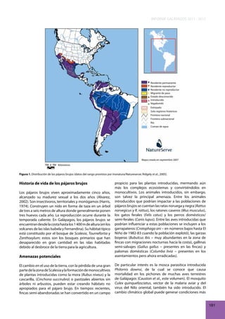 INFORME GALÁPAGOS 2011 - 2012

Residente permanente
Residente reproductor
Residente no reproductor
Migrante de paso
Estado desconocido
Introducido
Vagabundo
Extirpado
Solo registros históricos
Frontera nacional
Frontera subnacional
Río
Cuerpo de agua

Mapa creado en septiembre 2007
Kilómetros

Figura 1. Distribución de los pájaros brujos (datos del rango provistos por Inonatura/Natureserve; Ridgely et al., 2005).

Historia de vida de los pájaros brujos

Amenazas potenciales

propicio para las plantas introducidas, mermando aún
más los complejos ecosistemas y convirtiéndolos en
monocultivos. Los animales introducidos, sin embargo,
son talvez la principal amenaza. Entre los animales
introducidos que podrían impactar a las poblaciones de
pájaros brujos se cuentan las ratas noruega y negra (Rattus
norvegicus y R. rattus), los ratones caseros (Mus musculus),
los gatos ferales (Felis catus) y los perros domésticos/
semi-ferales (Canis lupus). Entre las aves introducidas que
podrían influenciar a estas poblaciones se incluyen a los
garrapateros (Crotophaga ani – en números bajos hasta El
Niño de 1982-83 cuando la población explotó), las garzas
boyeras (Bubulcus ibis – muy abundantes en la zona de
fincas con migraciones nocturnas hacia la costa), gallinas
semi-salvajes (Gallus gallus – presentes en las fincas) y
palomas domésticas (Columba livia – presentes en los
asentamientos pero ahora erradicadas).

El cambio en el uso de la tierra, con la pérdida de una gran
parte de la zona de Scalesia y la formación de monocultivos
de plantas introducidas como la mora (Rubus niveus) y la
cascarilla, (Cinchona succirubra) o pastizales abiertos sin
árboles ni arbustos, pueden estar creando hábitats no
apropiados para el pájaro brujo. En tiempos recientes,
fincas semi-abandonadas se han convertido en un campo

De particular interés es la mosca parasítica introducida
Philornis downsi, de la cual se conoce que causa
mortalidad en los pichones de muchas aves terrestres
de Galápagos (Causton et al., este volumen). El mosquito
Culex quinquefasciatus, vector de la malaria aviar y del
virus del Nilo oriental, también ha sido introducido. El
cambio climático global puede generar condiciones más

Los pájaros brujos viven aproximadamente cinco años,
alcanzado su madurez sexual a los dos años (Alvarez,
2002). Son insectívoros, territoriales y monógamos (Harris,
1974). Construyen un nido en forma de taza en un árbol
de tres a seis metros de altura donde generalmente ponen
tres huevos cada año. La reproducción ocurre durante la
temporada caliente. En Galápagos, los pájaros brujos se
encuentran desde la costa hasta los 1 400 m de altura (en los
volcanes de las islas Isabela y Fernandina). Su hábitat típico
está constituido por el bosque de Scalesia, Tournefortia y
Zanthoxylum; estos son los bosques primarios que han
desaparecido en gran cantidad en las islas habitadas
debido al desbroce de la tierra para la agricultura.

181

 