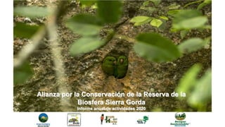 Querétaro
Guanajuato
San Luis
Potosí
Hidalgo
Alianza por la Conservación de la Reserva de la
Biosfera Sierra Gorda
Informe anual de actividades 2020
 