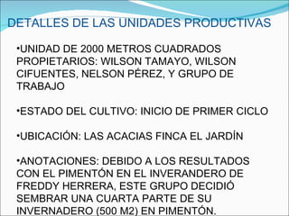 DETALLES DE LAS UNIDADES PRODUCTIVAS UNIDAD DE 2000 METROS CUADRADOS  PROPIETARIOS: WILSON TAMAYO, WILSON CIFUENTES, NELSON PÉREZ, Y GRUPO DE TRABAJO ESTADO DEL CULTIVO: INICIO DE PRIMER CICLO UBICACIÓN: LAS ACACIAS FINCA EL JARDÍN ANOTACIONES: DEBIDO A LOS RESULTADOS CON EL PIMENTÓN EN EL INVERANDERO DE FREDDY HERRERA, ESTE GRUPO DECIDIÓ SEMBRAR UNA CUARTA PARTE DE SU INVERNADERO (500 M2) EN PIMENTÓN. 