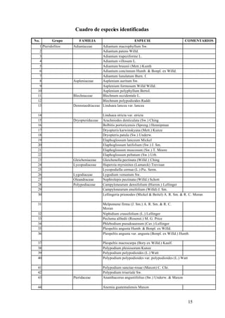 Cuadro de especies identificadas

No.        Grupo       FAMILIA                            ESPECIE                          COMENTARIOS
   1 Pteridofitos   Adiantaceae      Adiantum macrophyllum Sw.
   2                                 Adiantum patens Willd.
   3                                 Adiantum trapeziforme L.
   4                                 Adiantum villosum L.
   5                                 Adiantum braunii (Mett.) Kunth
   6                                 Adiantum concinnum Humb. & Bonpl. ex Willd.
   7                                 Adiantum lunulatum Burn. f.
   8                Aspleniaceae     Asplenium auritum Sw.
   9                                 Asplenium formosum Willd Willd.
  10                                 Asplenium polyphyllum Bertol.
  11                Blechnaceae      Blechnum occidentale L.
  12                                 Blechnum polypodioides Raddi
  13                Dennstaedtiaceae Lindsaea lancea var. lancea

  14                                  Lindsaea stricta var. stricta
  15                Dryopteridaceae   Arachniodes denticulata (Sw.) Ching
  16                                  Bolbitis portoricensis (Spreng.) Hennipman
  17                                  Dryopteris karwinskyana (Mett.) Kunze
  18                                  Dryopteris patula (Sw.) Underw.
  19                                  Elaphoglossum lanceum Mickel
  20                                  Elaphoglossum latifolium (Sw.) J. Sm.
  21                                  Elaphoglossum muscosum (Sw.) T. Moore
  22                                  Elaphoglossum peltatum (Sw.) Urb.
  23                Gleicheniaceae    Gleichenella pectinata (Willd.) Ching
  24                Lycopodiaceae     Huperzia myrsinites (Lamarck) Trevisan
  25                                  Lycopodiella cernua (L.) Pic. Serm.
  26                Lygodiaceae       Lygodium venustum Sw.
  27                Oleandraceae      Nephrolepis pectinata (Willd.) Schott
  28                Polypodiaceae     Campyloneurum densifolium (Hieron.) Lellinger
  29                                  Campyloneurum ensifolium (Willd) J. Sm.
  30                                  Lellingeria prionodes (Mickel & Beitel) A. R. Sm. & R. C. Moran

  31                                  Melpomene firma (J. Sm.) A. R. Sm. & R. C.
                                      Moran
  32                                  Niphidium crassifolium (L.) Lellinger
  33                                  Pecluma alfredii (Rosenst.) M. G. Price
  34                                  Phlebodium pseudoaureum (Cav.) Lellinger
  35                                  Pleopeltis angusta Humb. & Bonpl. ex Willd.
  36                                  Pleopeltis angusta var. angusta (Bonpl. ex Willd.) Humb.

  37                                  Pleopeltis macrocarpa (Bory ex Willd.) Kaulf.
  38                                  Polypodium plesiosorum Kunze
  39                                  Polypodium polypodioides (L.) Watt
  40                                  Polypodium polypodioides var. polypodioides (L.) Watt

  41                                  Polypodium sanctae-rosae (Maxon) C. Chr.
  42                                  Polypodium triseriale Sw.
  43                Pteridaceae       Ananthacorus angustifolius (Sw.) Underw. & Maxon

  44                                  Anemia guatemalensis Maxon



                                                                                              15
 